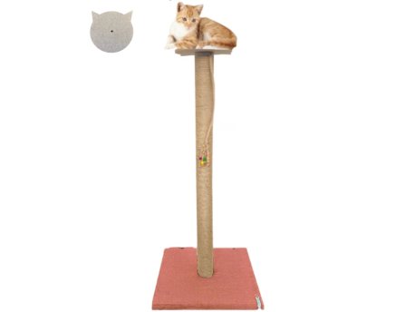 Paws & Whiskers Grebalica za mačke Axel Coral