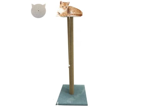 Paws & Whiskers Grebalica za mačke Axel Turquoise