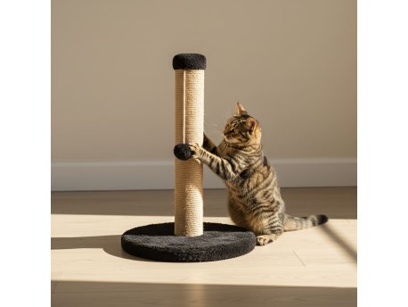 Paws & Whiskers Grebalica za mačke Coris Black