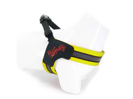 Paws & Whiskers Am za pse V Harness Neon Lime S