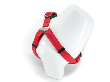 Paws & Whiskers Am za pse Step in Red XS