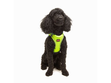 Paws & Whiskers Am za pse Air Mesh Neo Lime 3XS