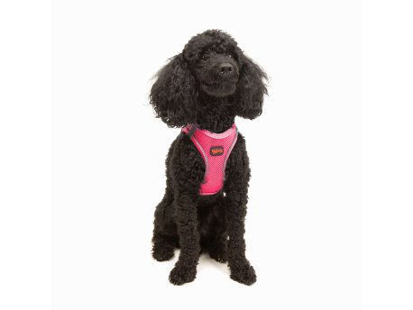 Paws & Whiskers Am za pse Air Mesh Neo Pink 3XS