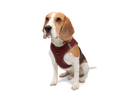 Paws & Whiskers Am za pse Air Mesh Claret Red 2XS