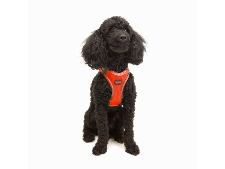 Paws & Whiskers Am za pse Air Mesh Neo Orange 2XS