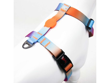 Paws & Whiskers Am za pse Pass XS