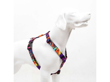 Paws & Whiskers Am za pse Splash S