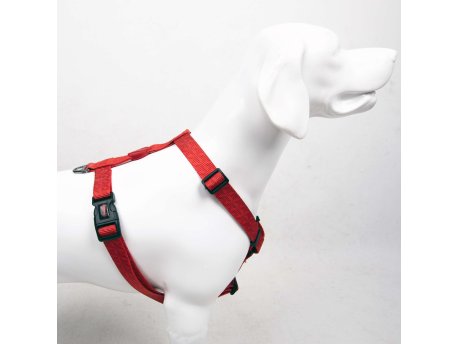 Paws & Whiskers Am za pse Prism M