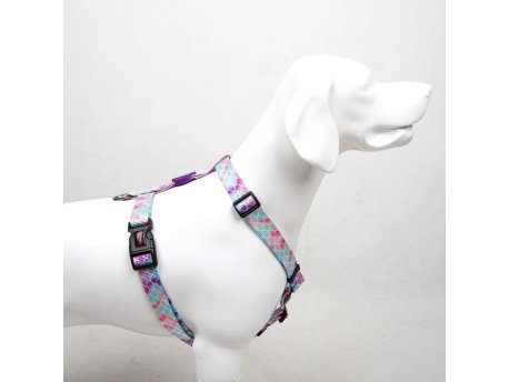 Paws & Whiskers Am za pse Bubles L