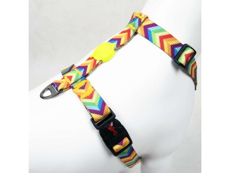 Paws & Whiskers Am za pse Rainbow L