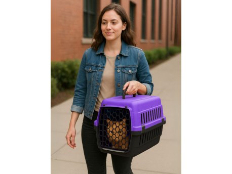 Paws & Whiskers Transporter za mačke Catbox Purple