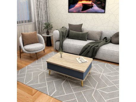 HANAH HOME Sto za dnevnu sobu Dy Ada Alaska Anthracite