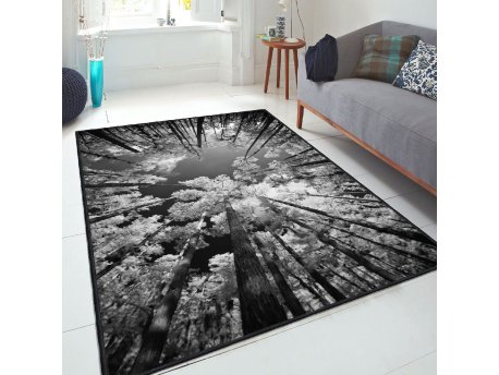 Conceptum Hypnose Tepih staza (80x120) Els1902