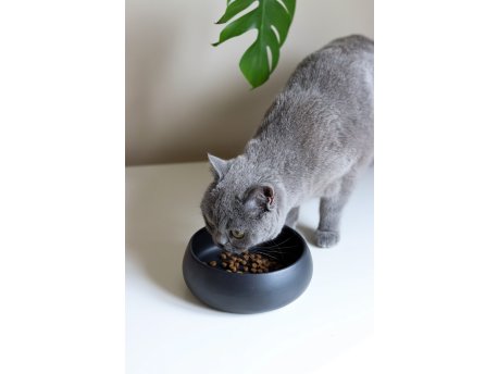 WALLXPERT Posuda za hranu za kućne ljubimce BSPT002