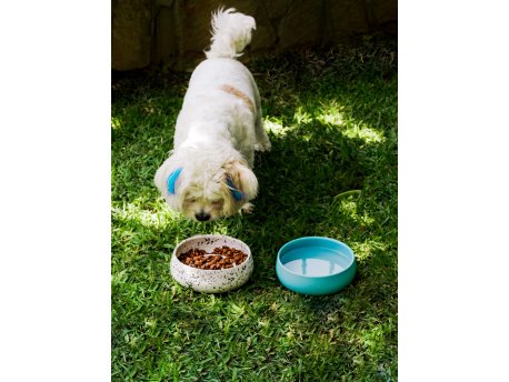 WALLXPERT Posuda za hranu za kućne ljubimce BSPT030