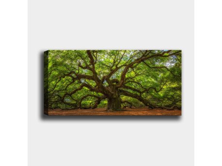 WALLXPERT Dekorativno slikanje na platnu YTY553671223_50120