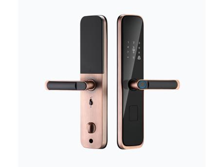 Smart Nest Pametna brava 8 sa otiskom prsta (bronzana)