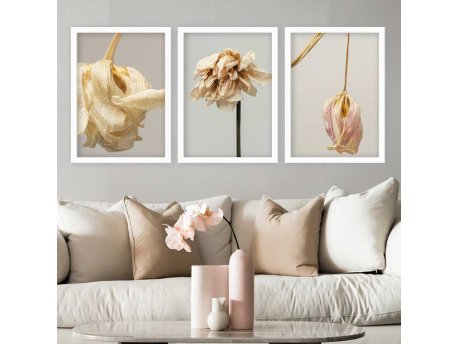 WALLXPERT Dekorativna slika u ramu (3 dela) 3BC_2563318_5575
