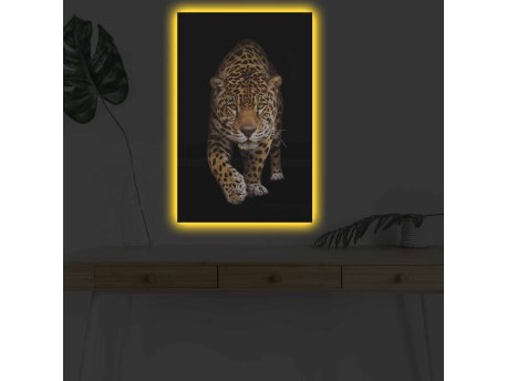 WALLXPERT Dekorativno LED osvetljeno platno sa slikanjem 4570DHDACT 055