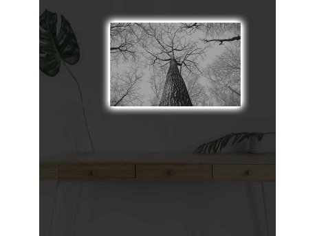 WALLXPERT Dekorativno LED osvetljeno platno sa slikanjem 4570DHDACT 068