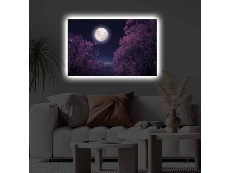 WALLXPERT Dekorativno LED osvetljeno platno sa slikanjem 4570KTLGDACT 017