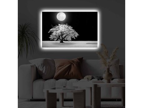 WALLXPERT Dekorativno LED osvetljeno platno sa slikanjem 4570KTLGDACT 022