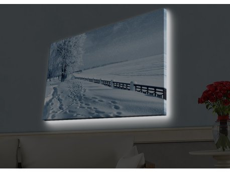 WALLXPERT Dekorativno LED osvetljeno platno sa slikanjem 4570HDACT 045