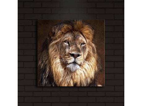 WALLXPERT Dekorativno LED osvetljeno platno sa slikanjem 4040IACT 20