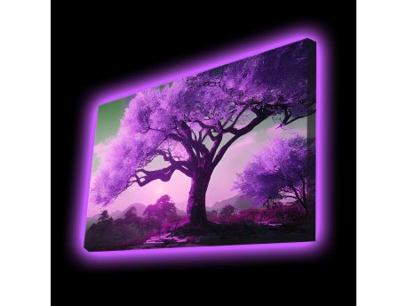 WALLXPERT Dekorativno LED osvetljeno platno sa slikanjem 4570PMDACT 004