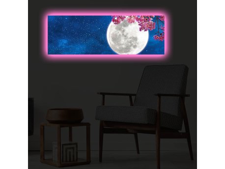 WALLXPERT Dekorativno LED osvetljeno platno sa slikanjem 3090PMDACT 002