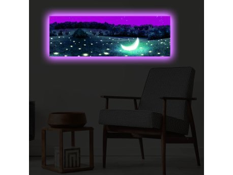 WALLXPERT Dekorativno LED osvetljeno platno sa slikanjem 3090PMDACT 003