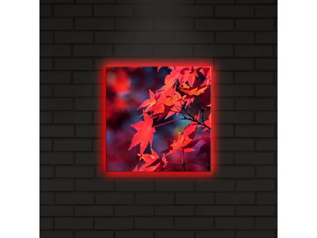 WALLXPERT Dekorativno LED osvetljeno platno sa slikanjem 2828DACT 7