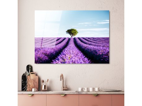 WALLXPERT Dekorativno farbanje kaljenog stakla UV 107 70 x 100