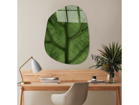 WALLXPERT Dekorativno farbanje kaljenog stakla UV 1099 50 x 70