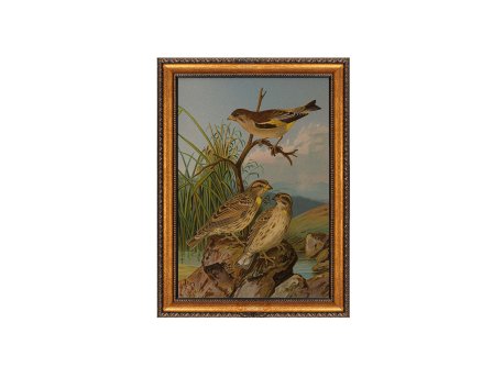 WALLXPERT Dekorativna slika na platnu u okviru ATCRCVCNVSMDL19 5070