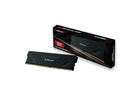 BIOSTAR DDR4 8GB 3200MHz Heatsink Storming V DO32NU4H08