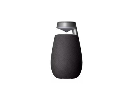 LG Zvučnik XO2TBK/XBOOM Go