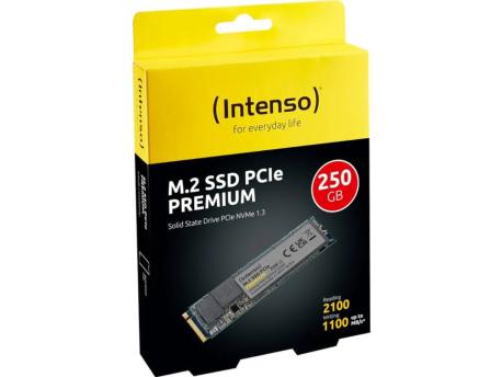 INTENSO SSD M.2 NVMe Gen.3x4 250GB