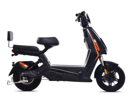 CAPRIOLO Bicikl E-bike E1 RX20 (292026)