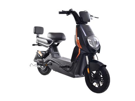 CAPRIOLO E-BIKE E1 RX20 292026-K
