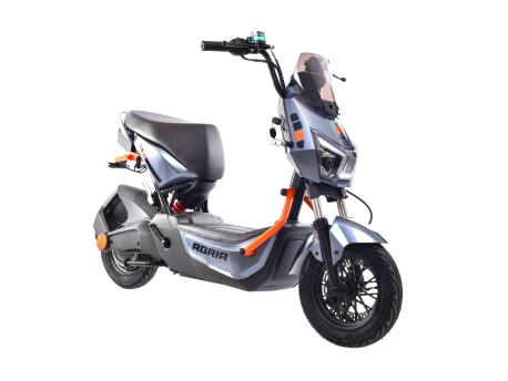 CAPRIOLO E-BIKE E2 RX20 Sivi 292027-S-K