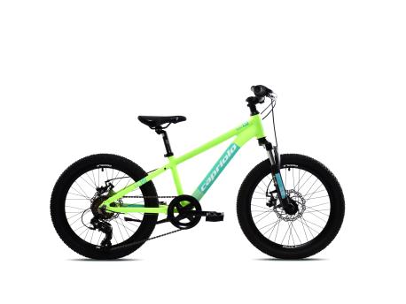 CAPRIOLO MTB LC 200 20'' 6AL zeleno 925517-11