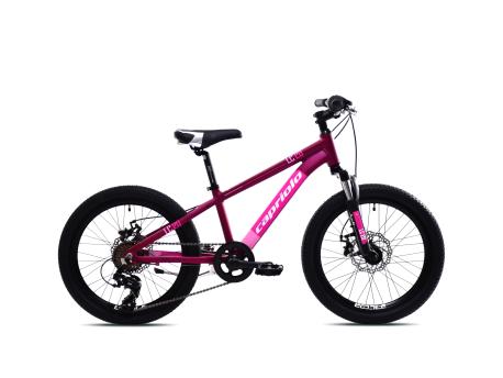 CAPRIOLO MTB LC 200 20'' 6AL ljubičasta 925518-11