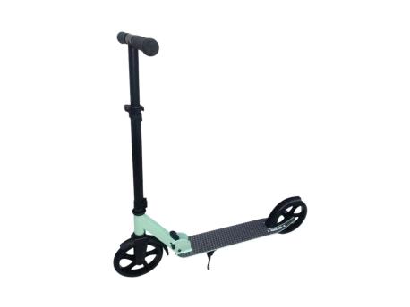CAPRIOLO TROTINET-ROMOBIL 004D INDY PLV 290112-P