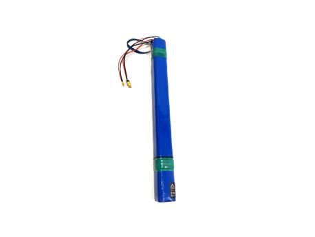CAPRIOLO E-BIKE AKUMLATOR BELT DRIVE 292354