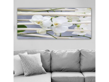 WALLXPERT Dekorativna slika YTY288791672_50120