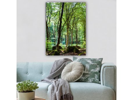 WALLXPERT Dekorativna slika 788516065_70100