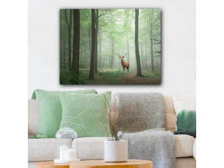 WALLXPERT Dekorativna slika 1060377443_70100