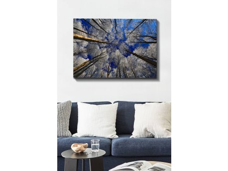 WALLXPERT Dekorativna slika Kanvas Tablo (70 x 100) 7