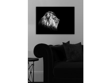 WALLXPERT Dekorativna slika 590776598 5070